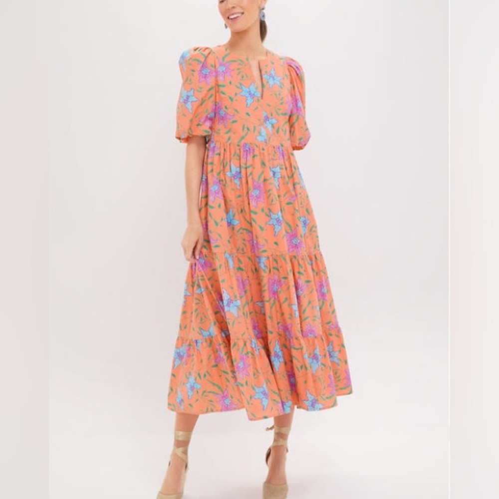 Tuckernuck Hyacinth House Magenta Multi Floral Ruffle Collar Louisa Midi Dress